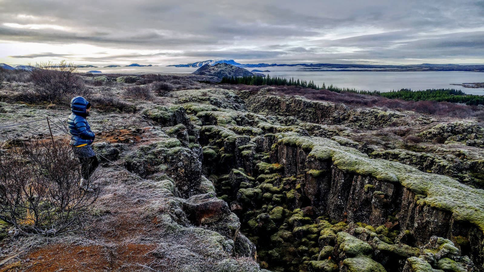 Reykjavík Excursions - Ótrúlegur árangur í kjölfar leitarvélabestunar með Datera